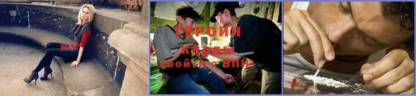 сатива Володарск