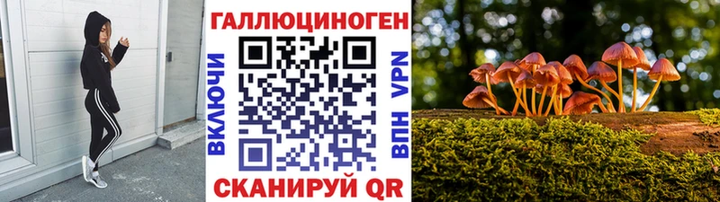 дарнет шоп  Шенкурск  Галлюциногенные грибы GOLDEN TEACHER 